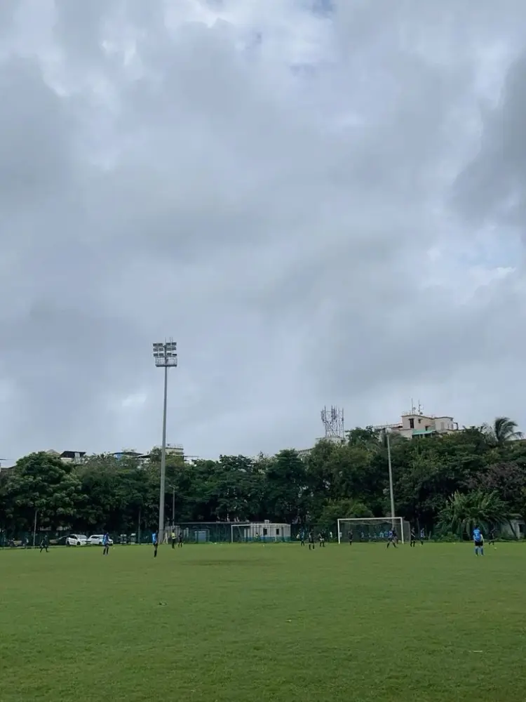 Natural football ground with installed floodlights