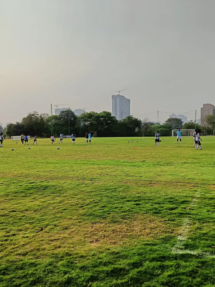 Well-marked football stadium with green natural turf