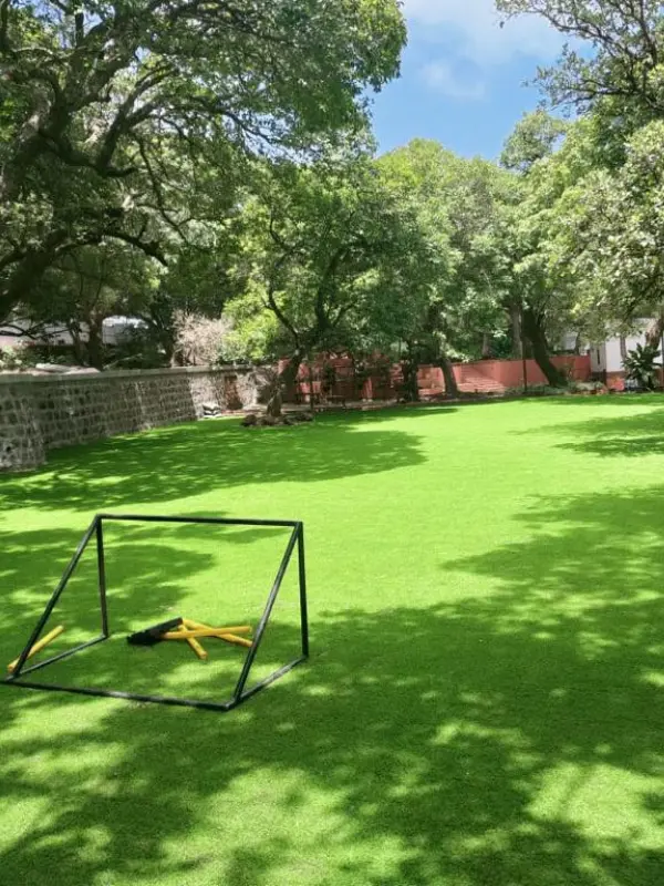 Finished sports ground with natural green grass and goal post.