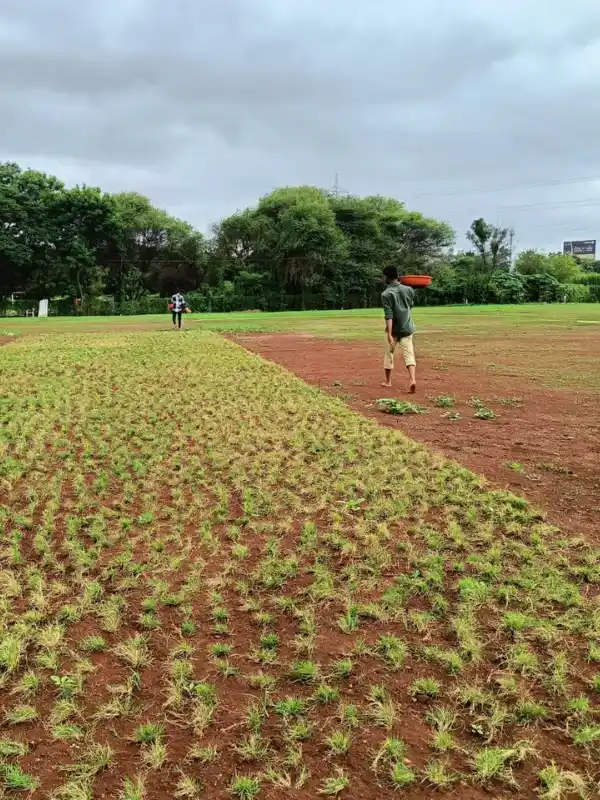 Fertilizer spreading service for sports ground in Pune