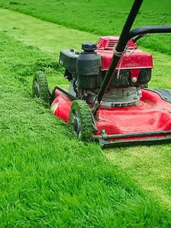 Grass cutting service for sports ground in Pune