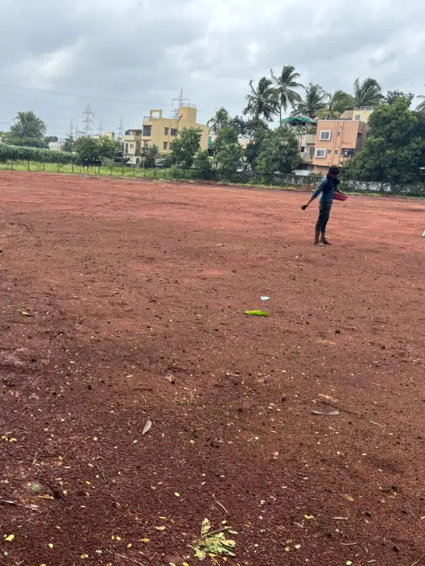 Ground Preparation For Grass Seeding