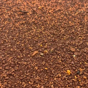 Grass Seed During Ground Construction