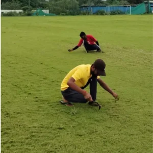 Grass weeding service for sports ground in Pune