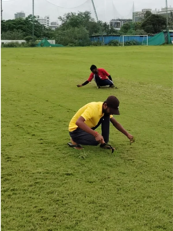Grass weeding service for sports ground in Pune