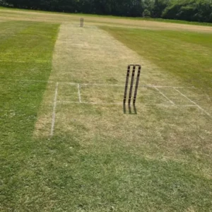 ICC Standard Cricket Ground Image