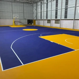 multi-sport-ground-indoor-pune