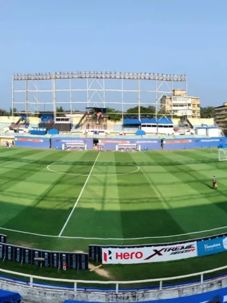FIFA-standard football ground with line marking and final touches for professional matches